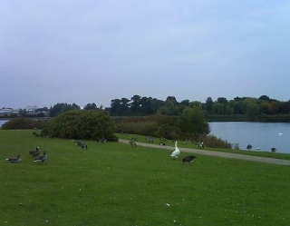 Willen Lake
